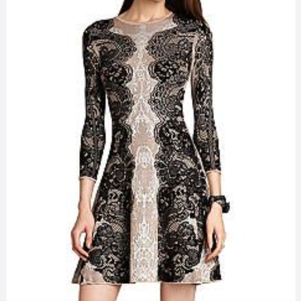 BCBG MaxAzria Bodycon dress 🤍🖤🤎